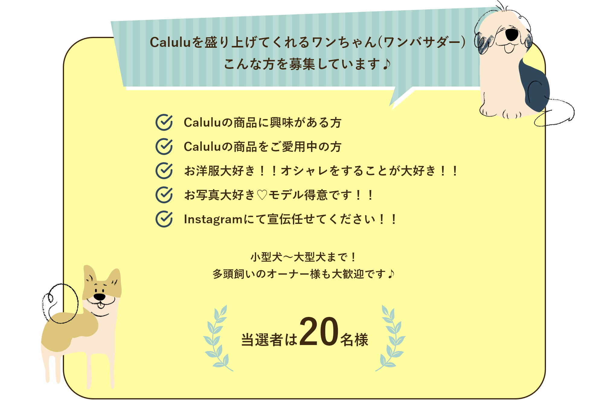Caluluを盛り上げてくれるワンちゃん(ワンバサダー) こんな方を募集しています♪