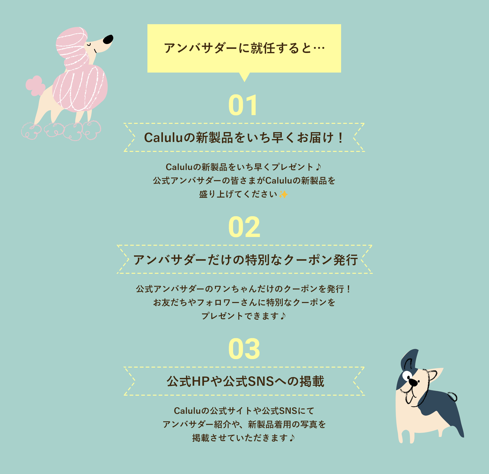 アンバサダーに就任すると…Caluluの新製品をいち早くお届け! アンバサダーだけの特別なクーポン発行 公式HPや公式SNSへの掲載
