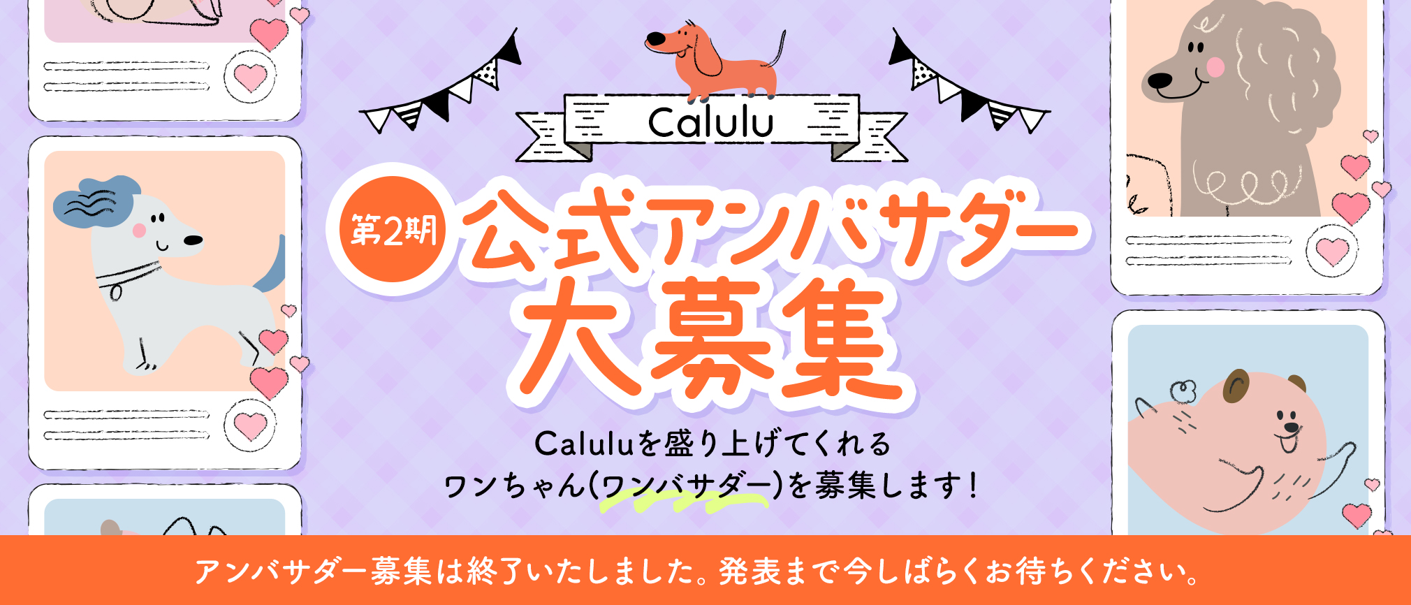 Calulu公式 アンバサダー大募集