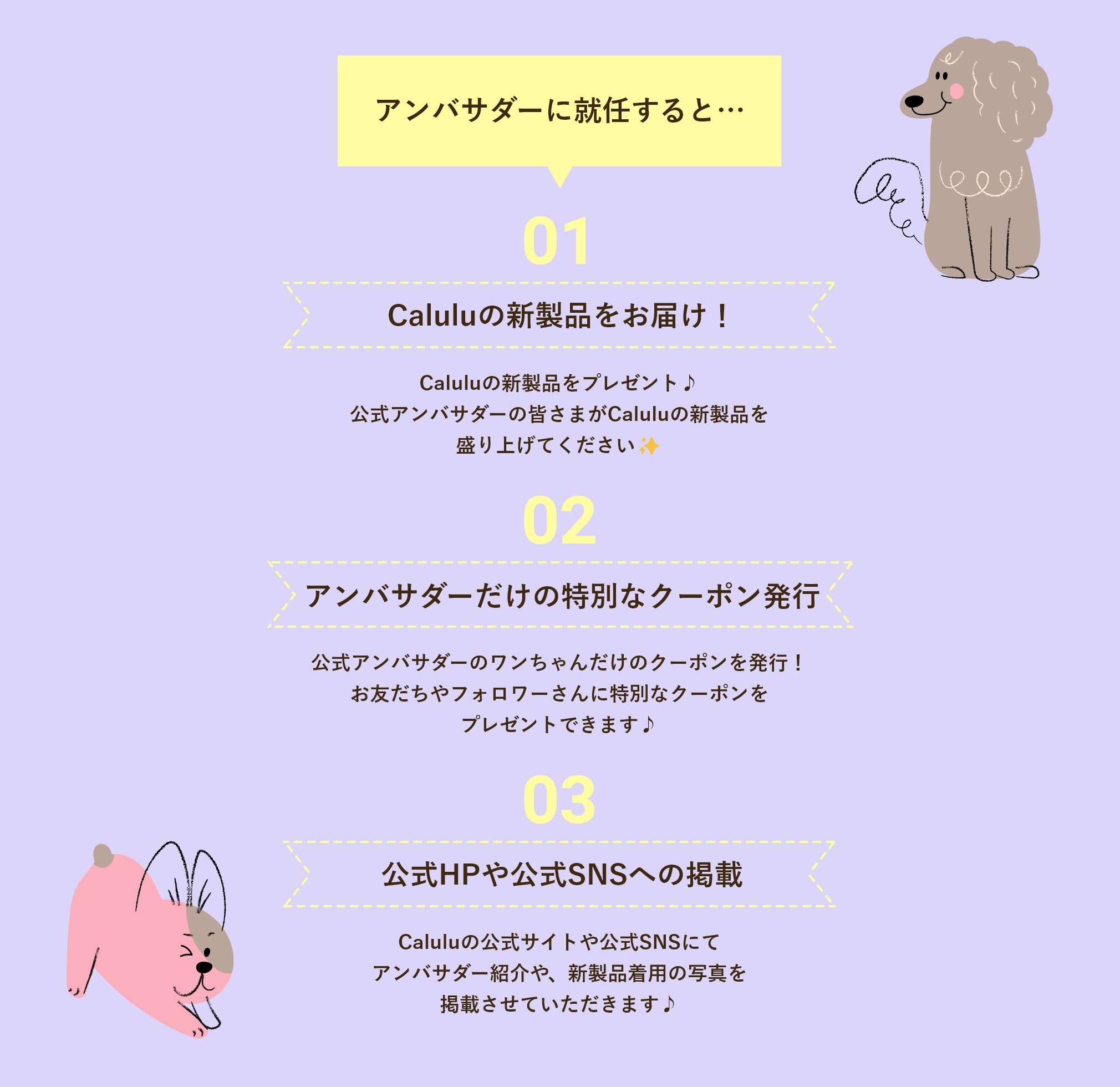 アンバサダーに就任すると…Caluluの新製品をいち早くお届け! アンバサダーだけの特別なクーポン発行 公式HPや公式SNSへの掲載