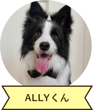 ALLYくん