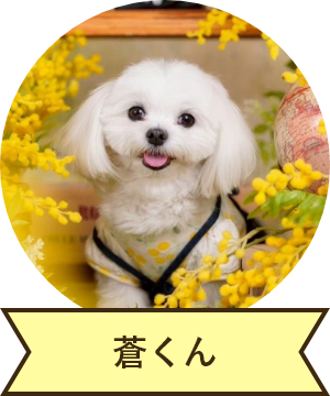 蒼くん