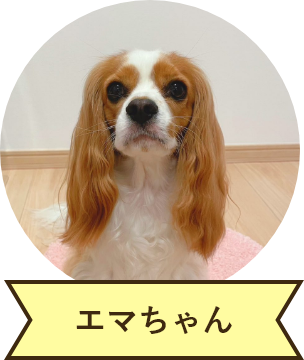 エマちゃん