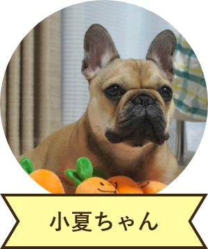 小夏ちゃん