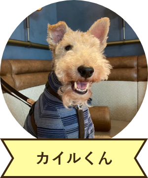 カイルくん