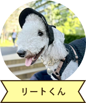 リートくん