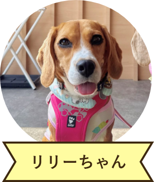 リリーちゃん