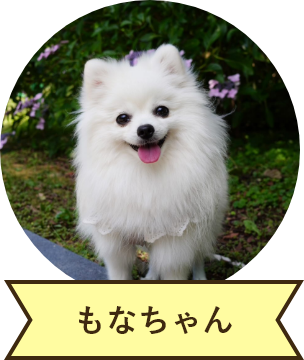 もなちゃん