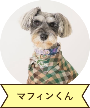 マフィンくん