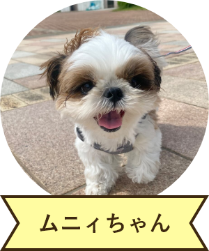 ムニィちゃん