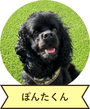 ぽんたくん