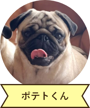 ポテトくん