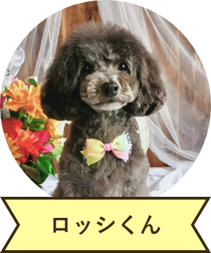 ロッシくん