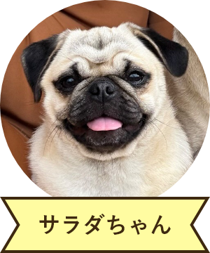 サラダちゃん