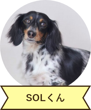 SOLくん