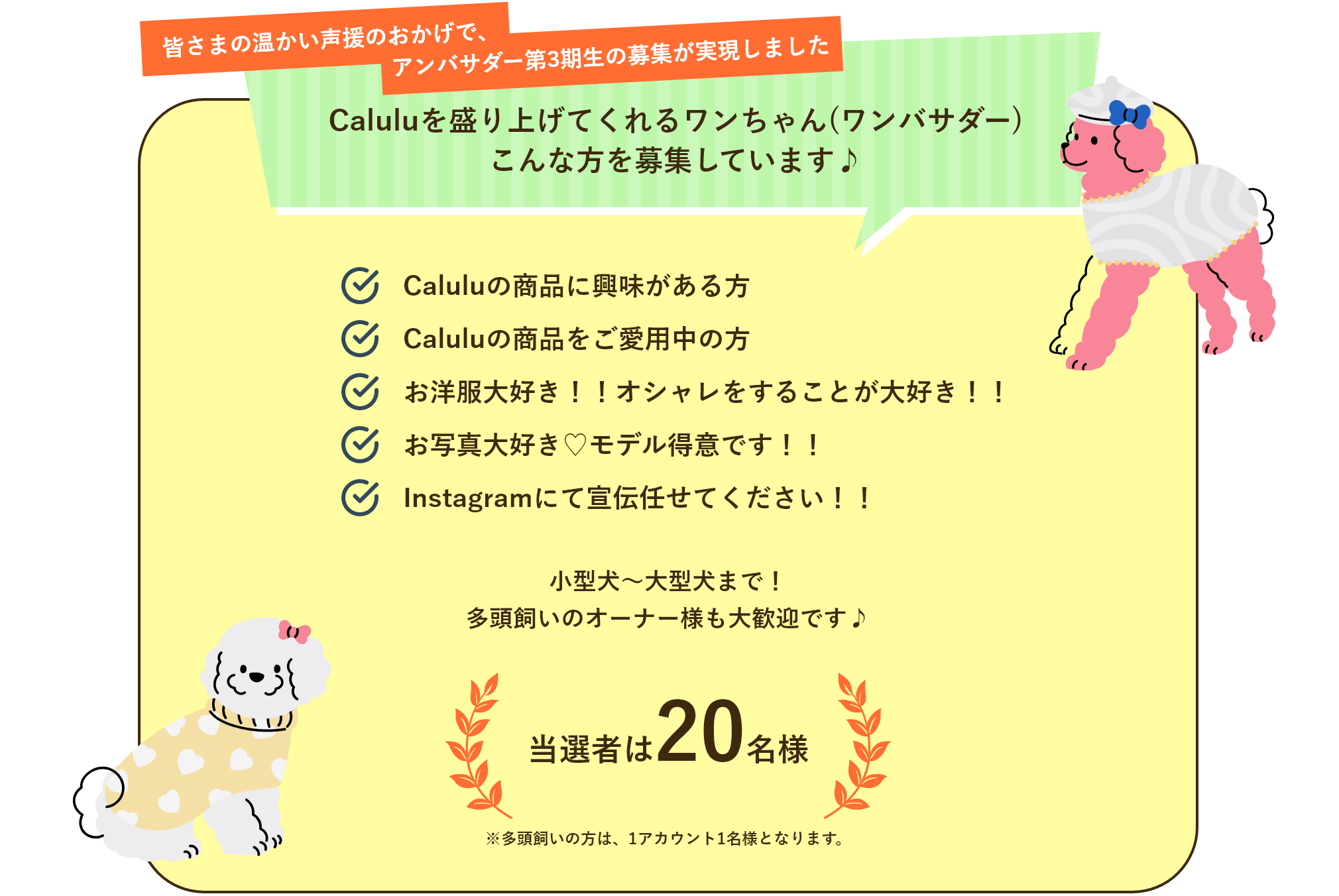 Caluluを盛り上げてくれるワンちゃん(ワンバサダー) こんな方を募集しています♪