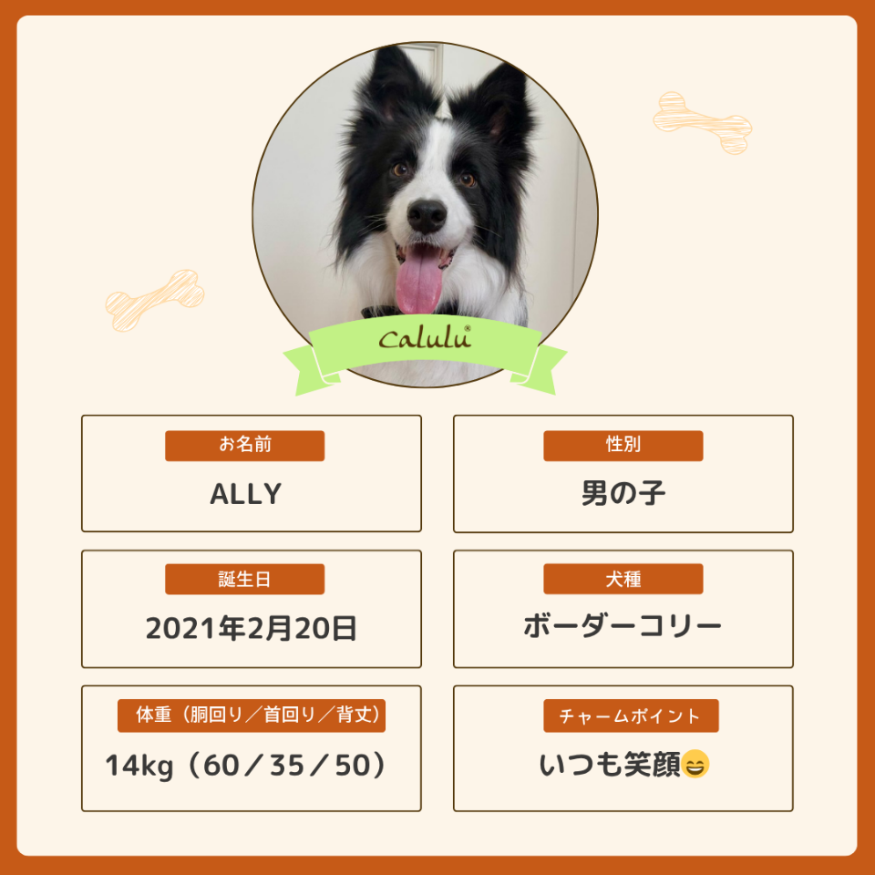 アリーくん