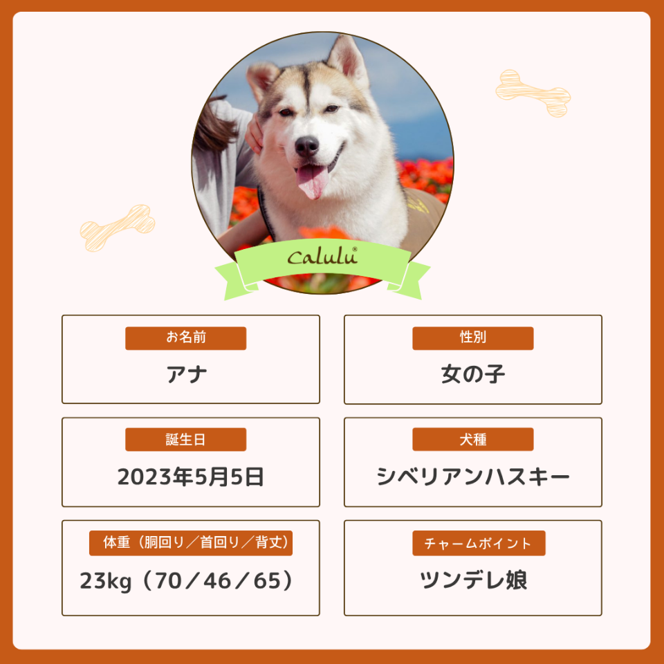 アナちゃん