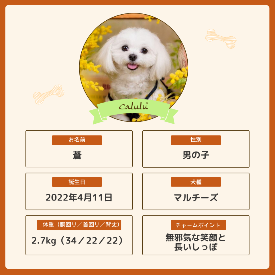 蒼くん