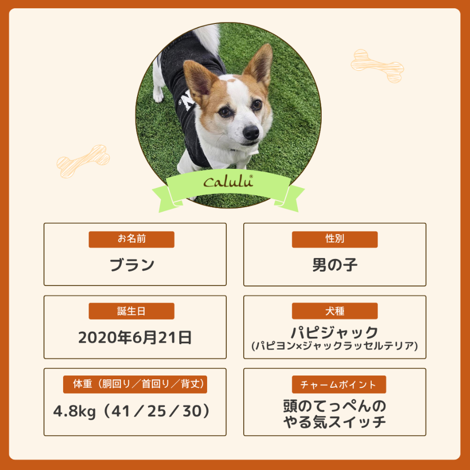 ブランくん