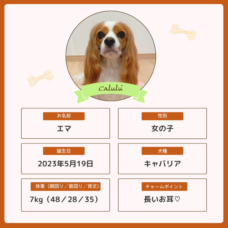 エマちゃん