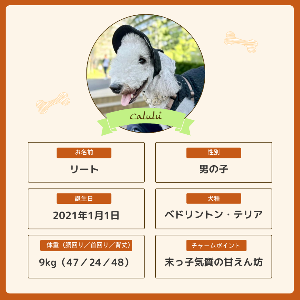 リートくん