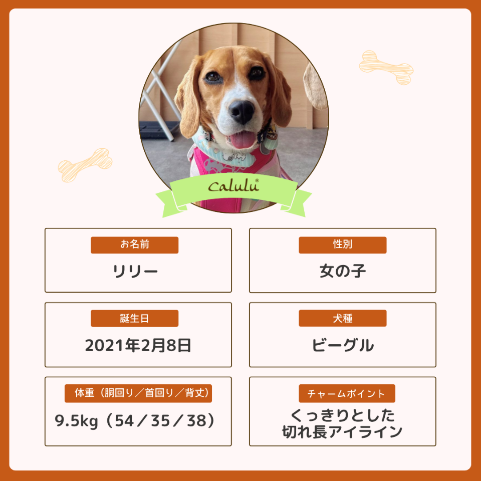 リリーちゃん
