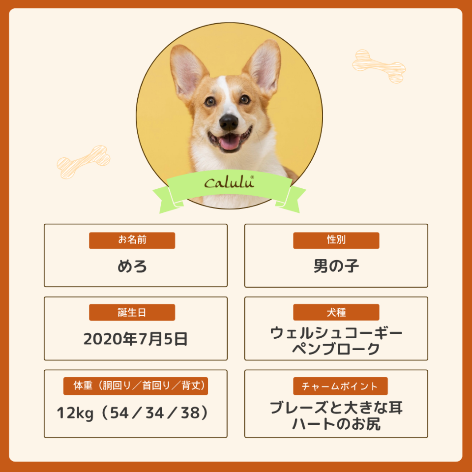 めろくん
