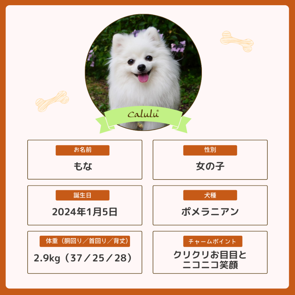 もなちゃん