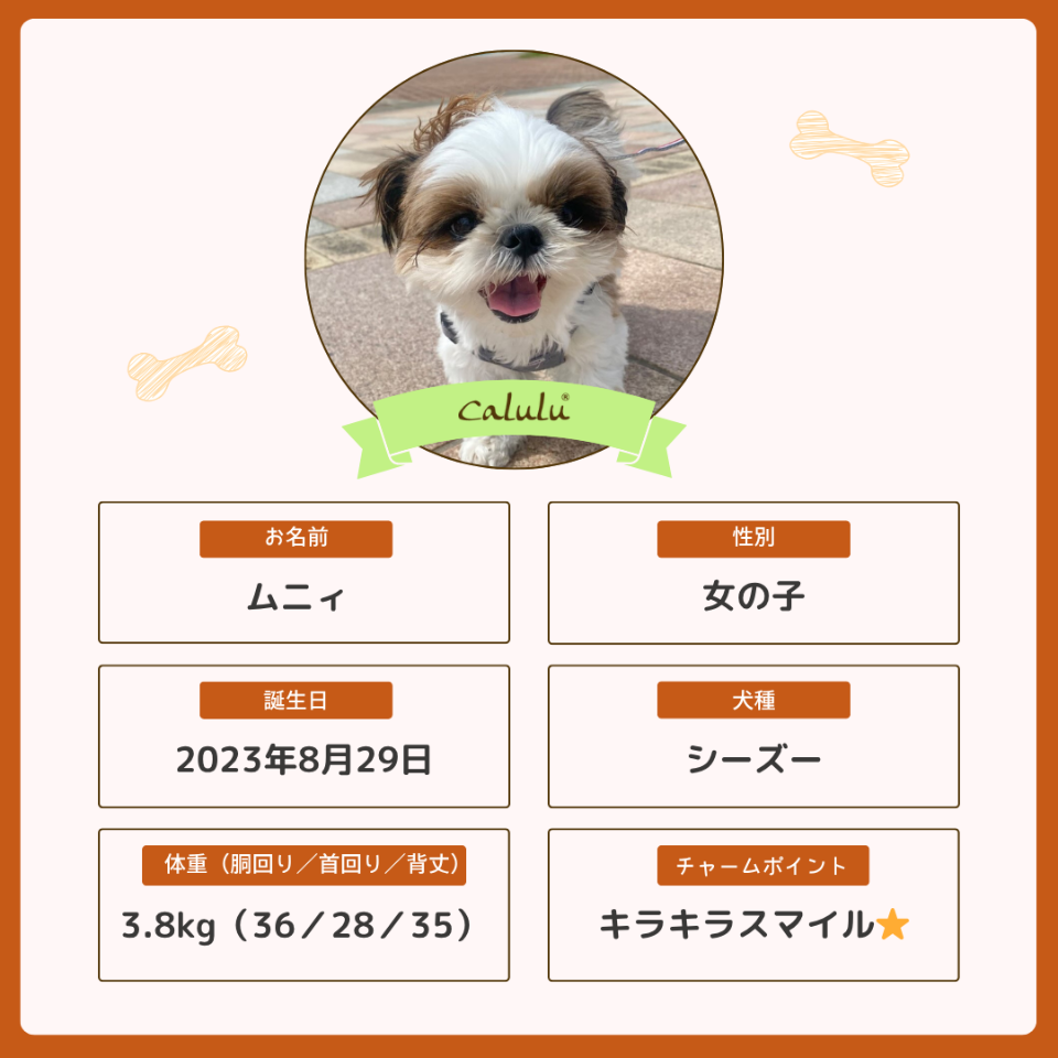 ムニィちゃん
