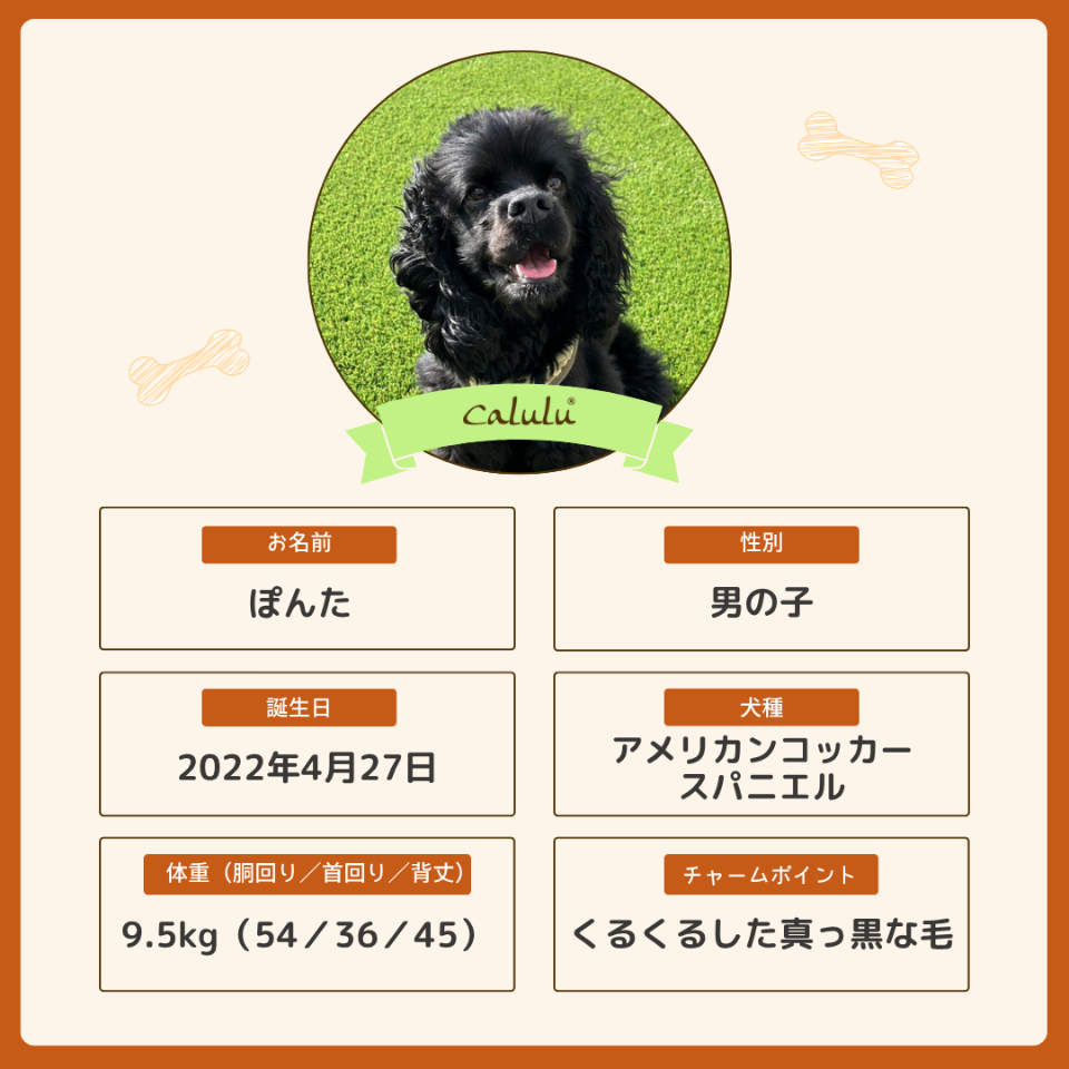 ぽんたくん