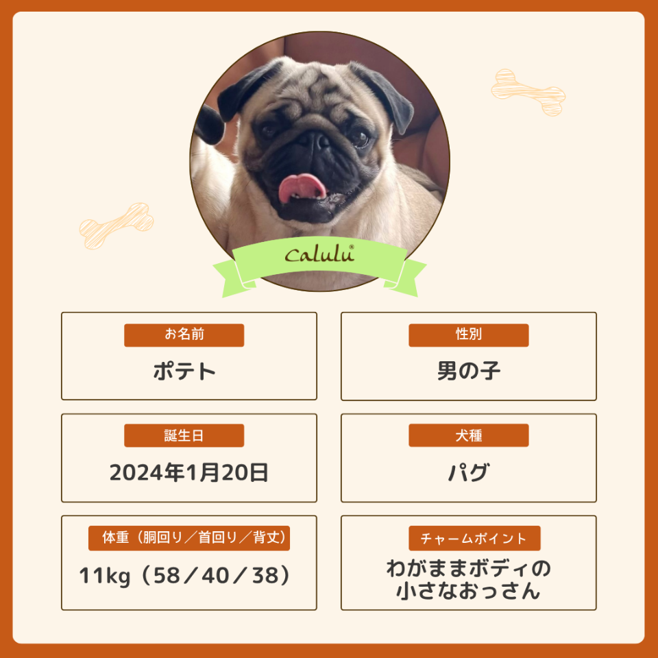 ポテトくん