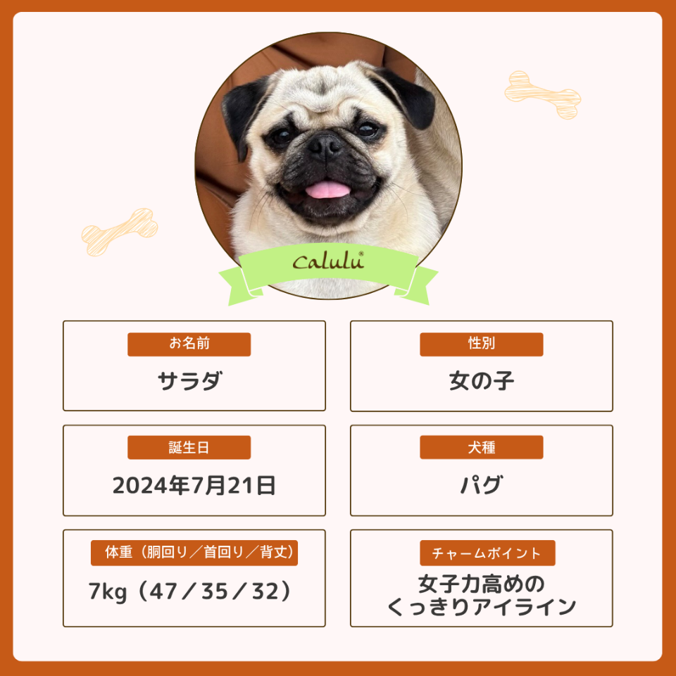 サラダちゃん