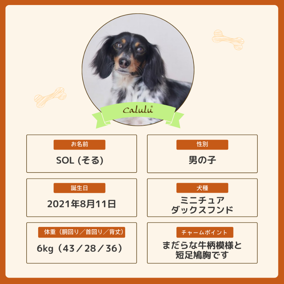そるくん