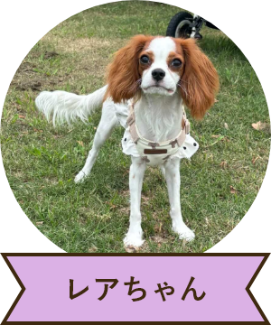 レアちゃん