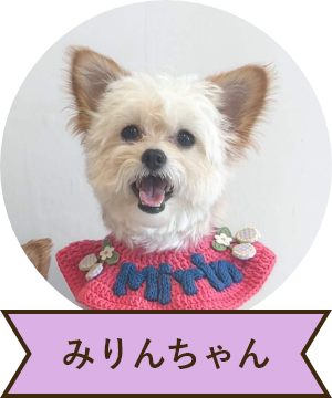 みりんちゃん