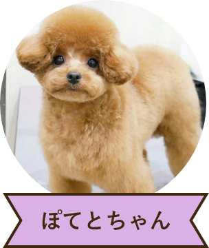 ぽてとちゃん