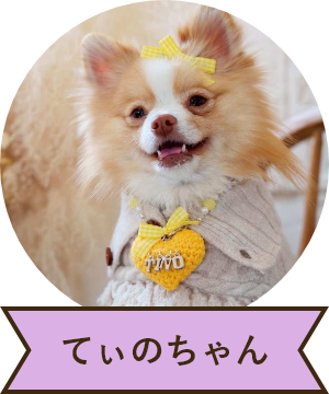 てぃのちゃん
