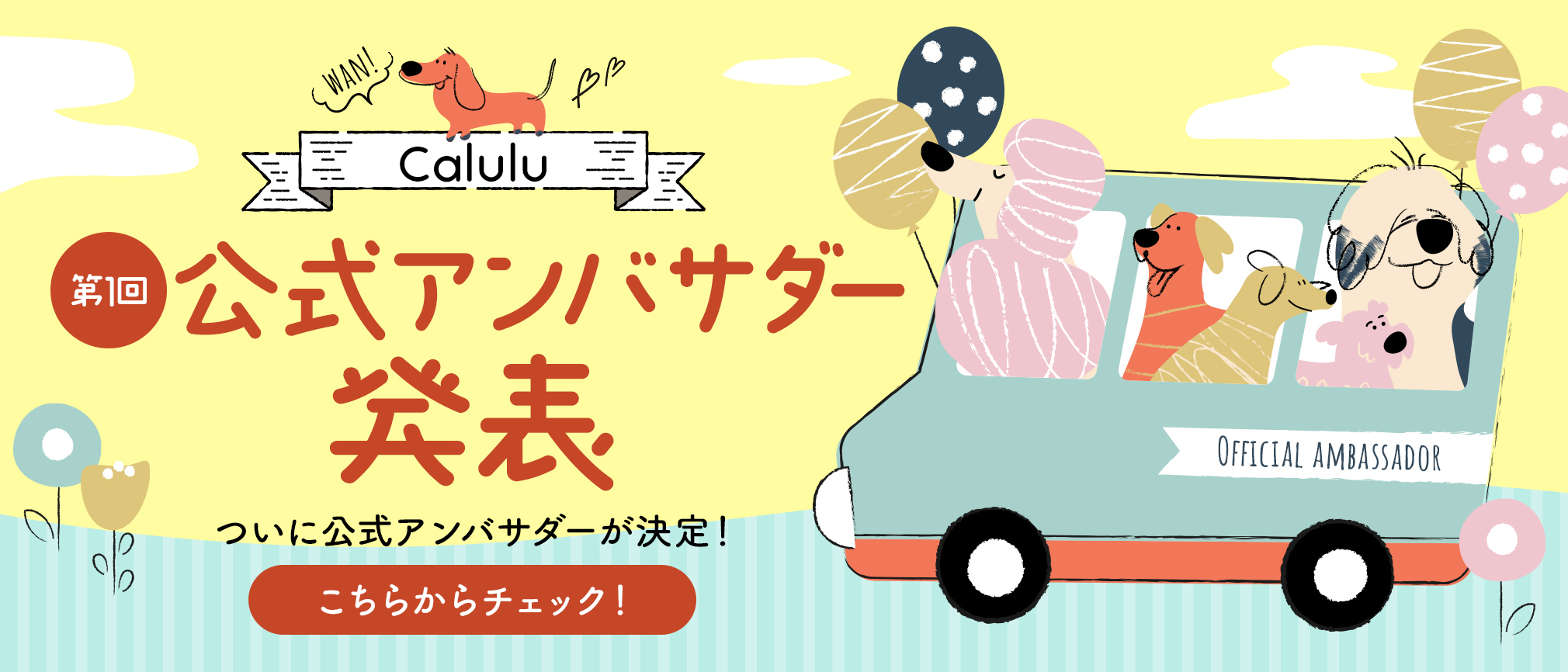 ついに！Calulu第1回公式アンバサダーが決定しました！