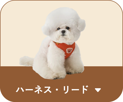 ハーネス・リード