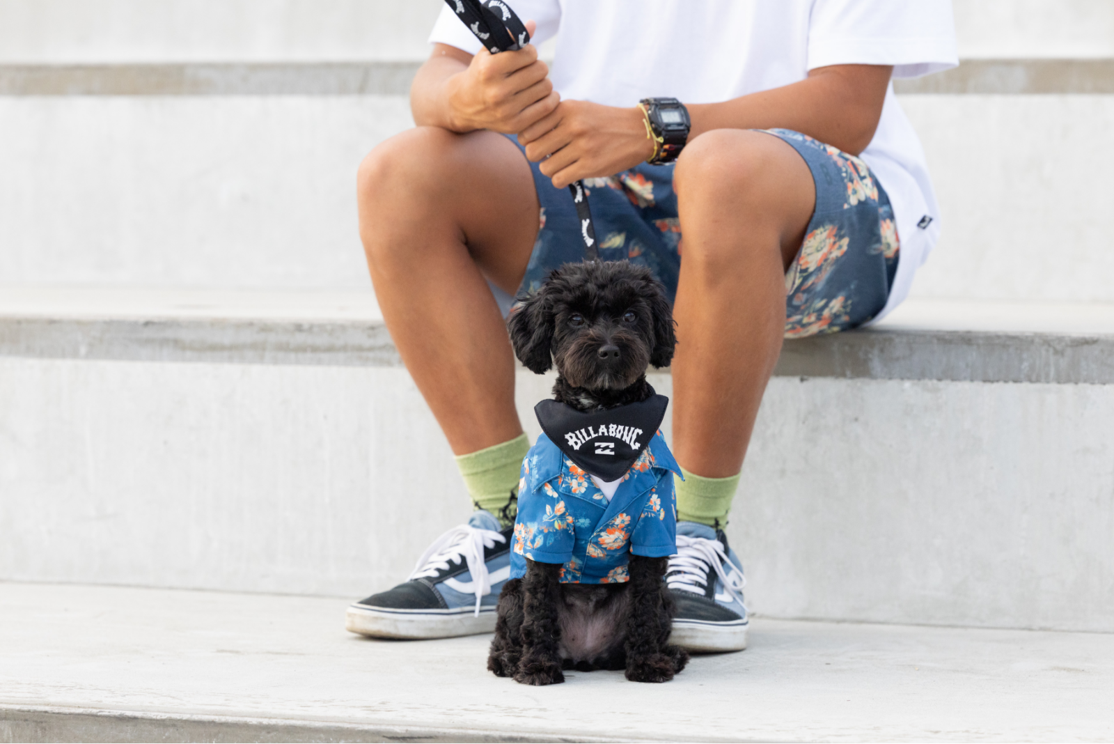 ILLABONG（ビラボン）ARCH LOGO DOG LEAD