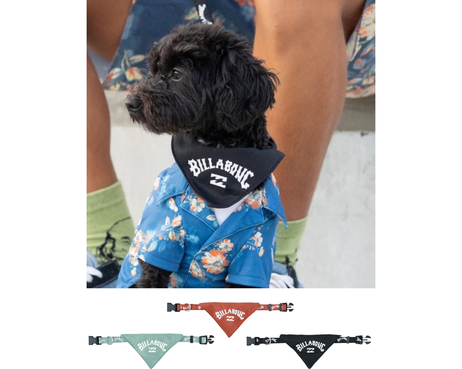 ILLABONG（ビラボン）ARCH LOGO DOG COLLAR｜全3色