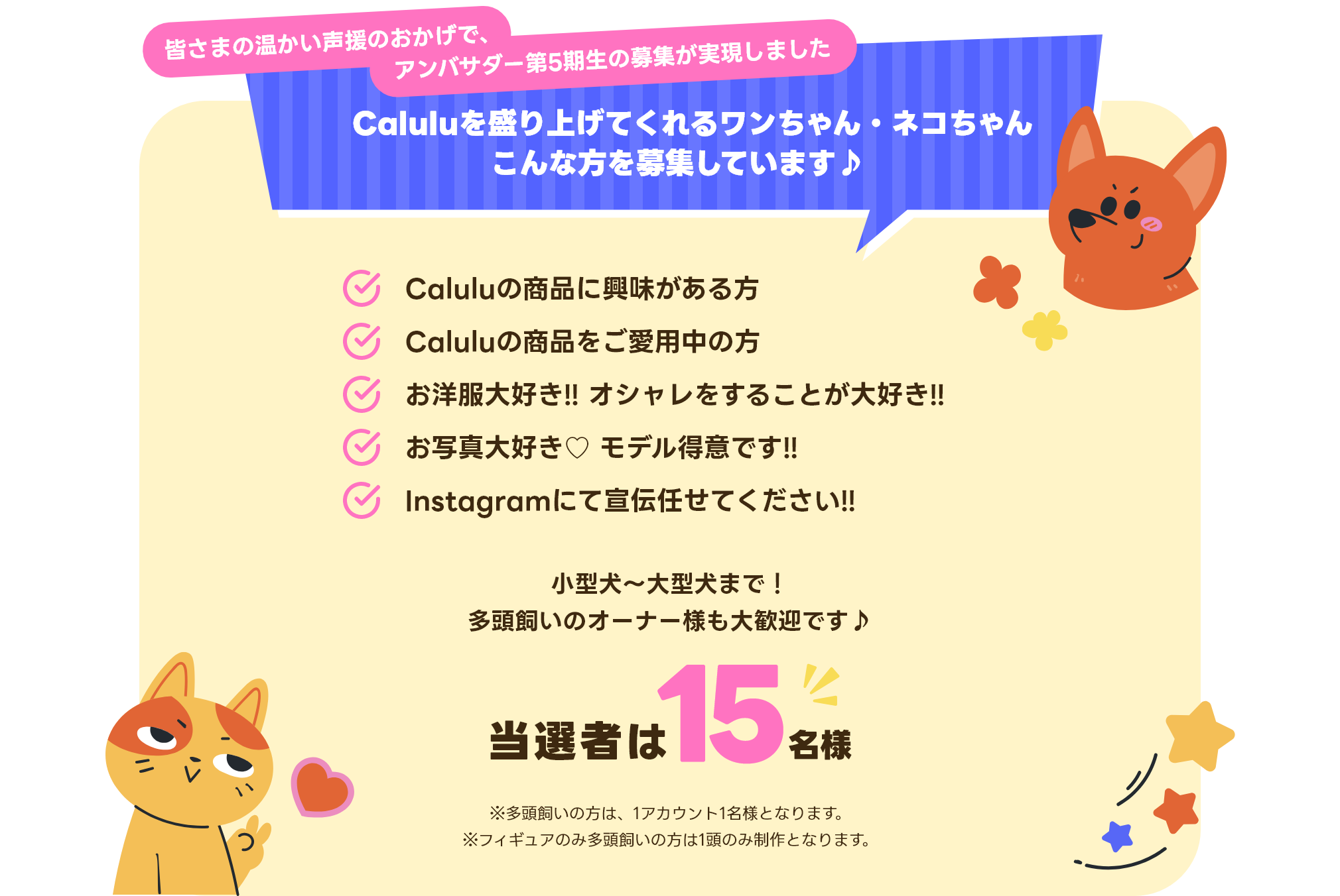 Caluluを盛り上げてくれるワンちゃん(ワンバサダー) こんな方を募集しています♪