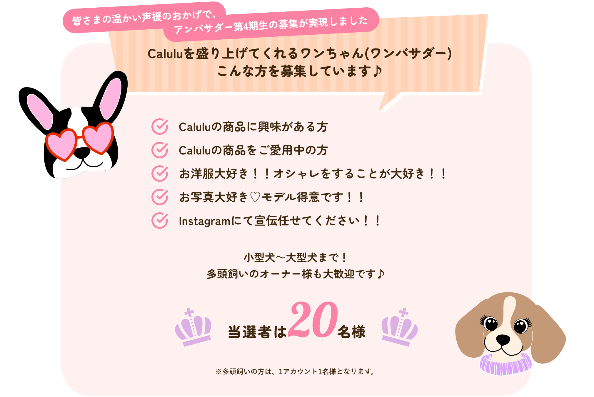 Caluluを盛り上げてくれるワンちゃん(ワンバサダー) こんな方を募集しています♪