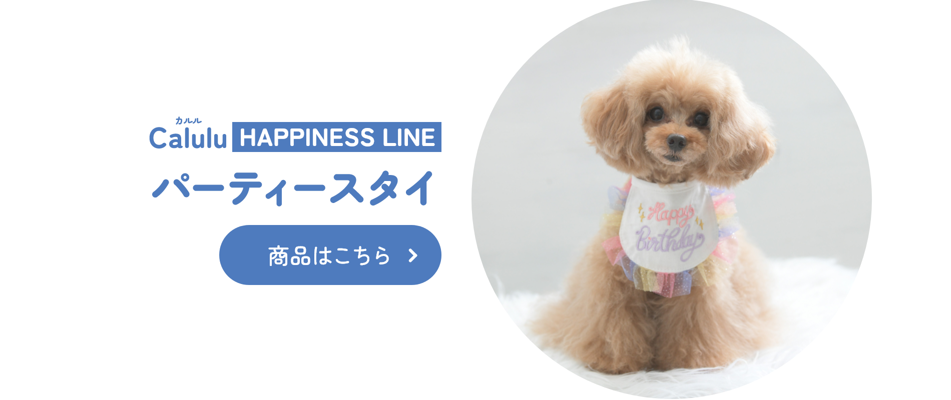 パーティースタイ