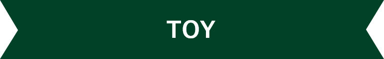 TOY