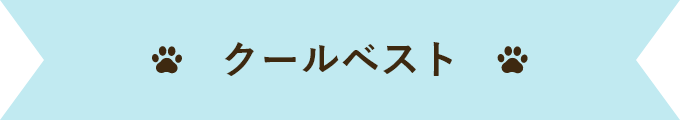 クールベスト