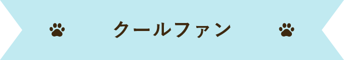 クールファン