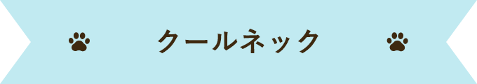 クールネック