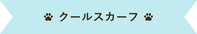 クールスカーフ